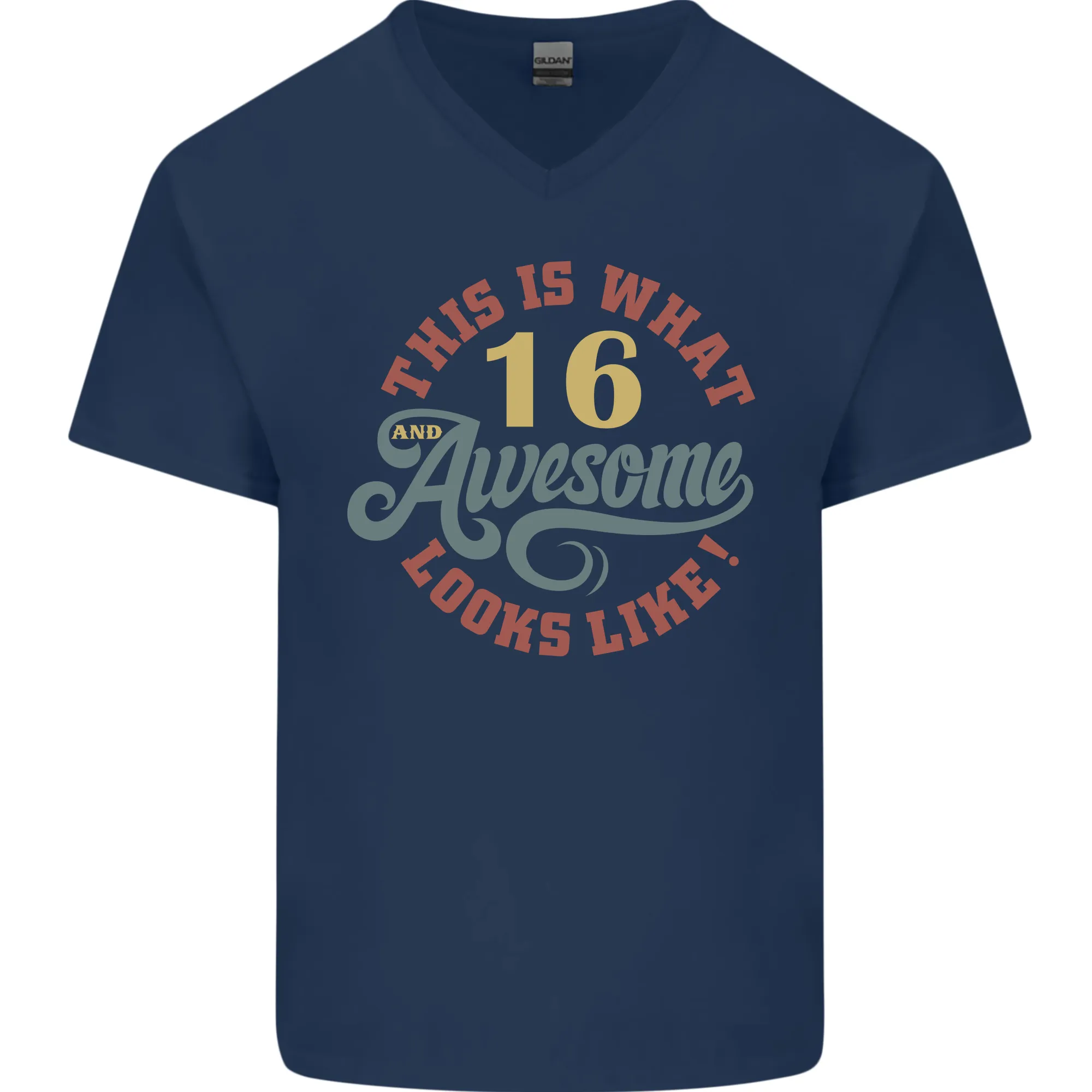 16th Birthday 60 Year Old Awesome Looks Like Mens V-Neck Cotton T-Shirt