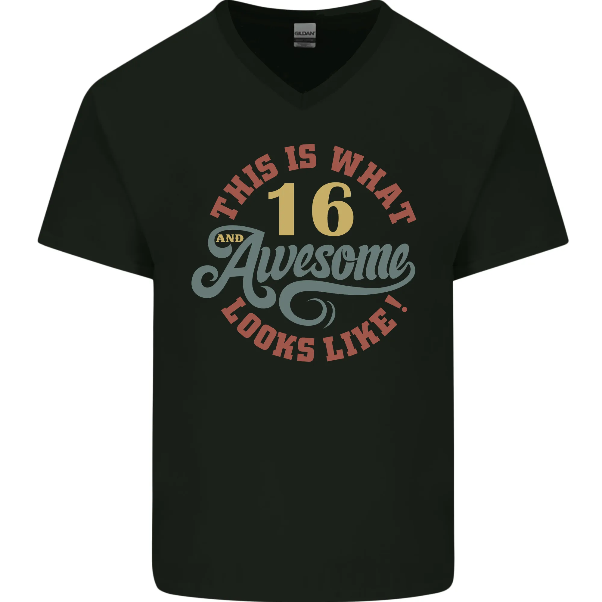 16th Birthday 60 Year Old Awesome Looks Like Mens V-Neck Cotton T-Shirt