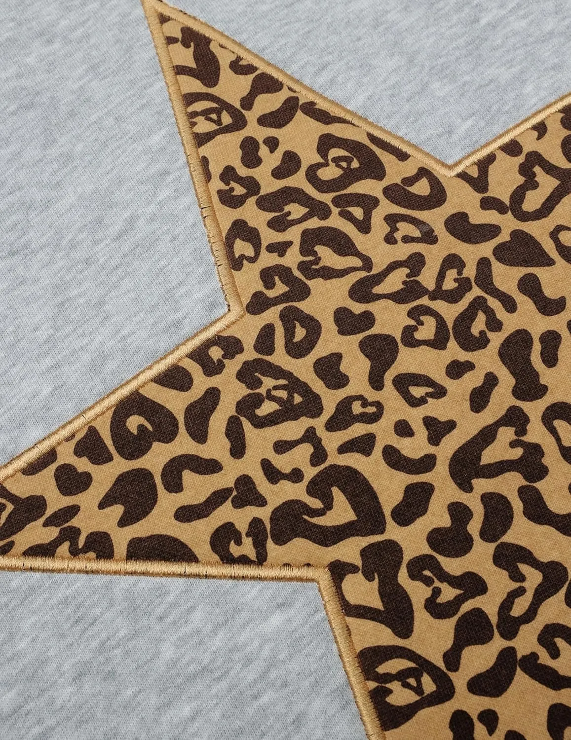 Aelfric Eden Hoodies Leopard Print Star Hoodie Graphic Hooded Pullover Sweatshirt Streetwear 2025 Trendy Tops Outfits